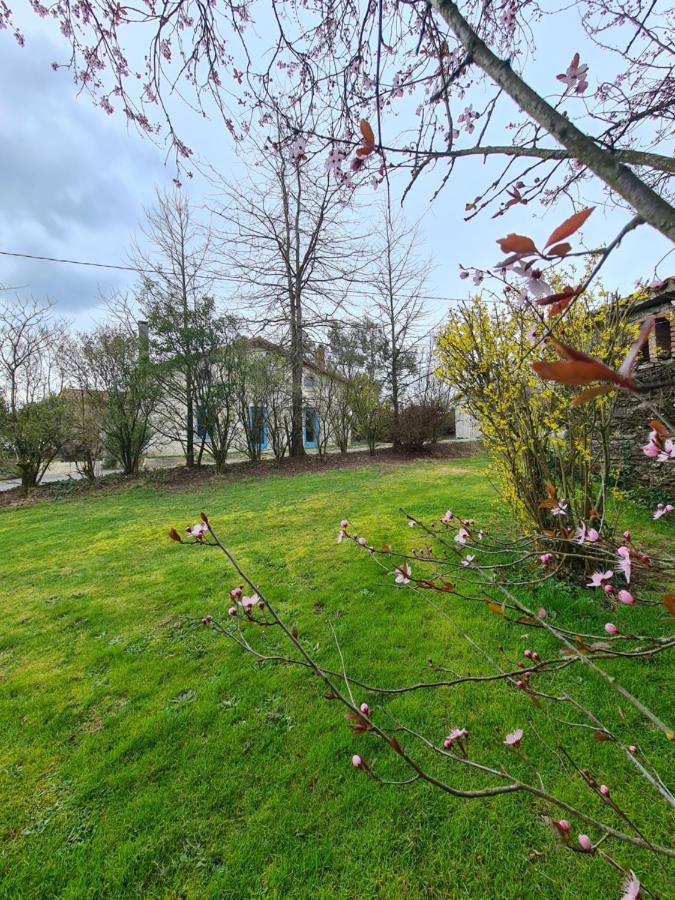 Le Terrier Maison De Campagne 250 M2 Grande Capacite 20 Couchages, 4500M2 De Terrain Villa Saint-Pierre-du-Chemin Buitenkant foto